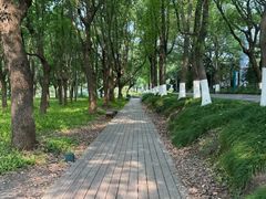 -嘉北郊野公园