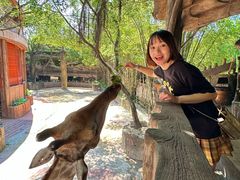 -长鹿旅游休博园
