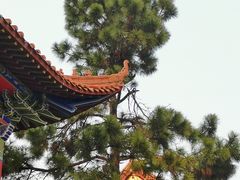 -开福禅寺