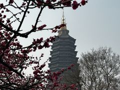 -红梅公园