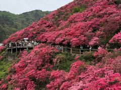 -木兰云雾山