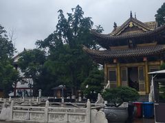 -上海东林寺(金山区)