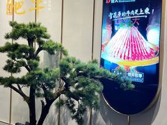-德天雪花肥牛海鲜火锅(南苑东路店)