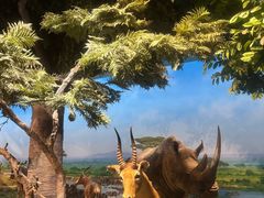 -国家自然博物馆