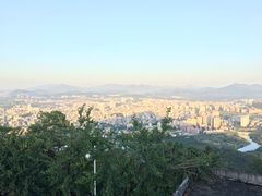 -风云岭森林公园