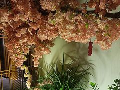 -合和大唐(江夏纸坊店)