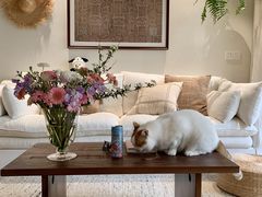 -住范儿家装·整体家装·装修设计