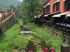 -Local泰莲庭(虹鳟鱼店)