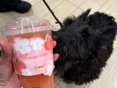 -德克士(砂之船奥特莱斯店)