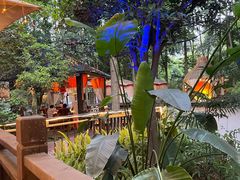 -二荆条·蜀鲜汇城市森林火锅