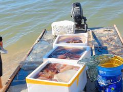 -东戴河风景区-止锚湾