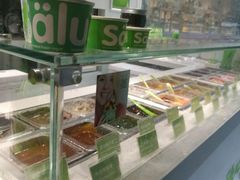 -Salud撒露欧洲冻酸奶(798艺术区店)