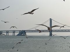 -星海广场