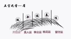 -慕拉美甲美睫皮肤管理