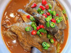 香辣甲鱼-老海陵·泰州菜(图书馆店)