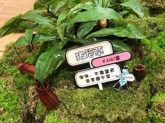 -潮一不贰·法式甜品·生日蛋糕·西式简餐(外滩店)