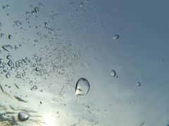 -柳浪游泳场