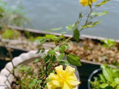 -东钱湖旅游度假区