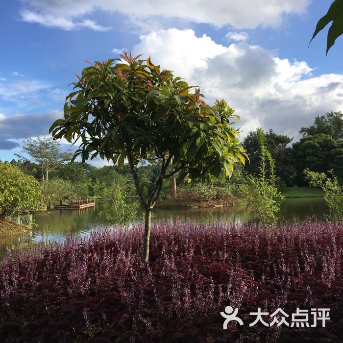 中國科學院西雙版納熱帶植物園