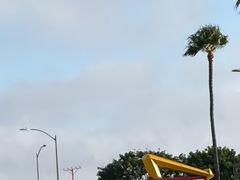 -In-N-Out Burger(LAX)