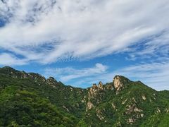 -大岭沟猕猴桃谷风景区