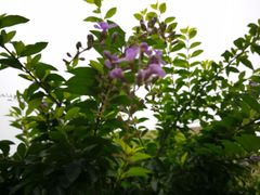 -晓港公园