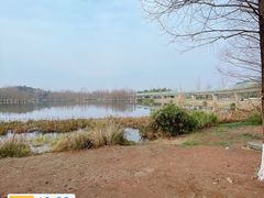 -白鹭湾湿地公园
