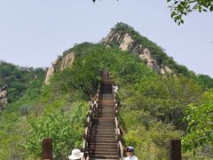 -大岭沟猕猴桃谷风景区