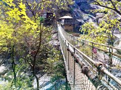 -洛阳白云山景区