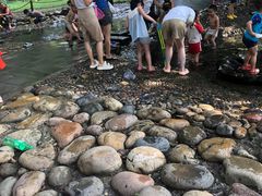 -成都市活水公园