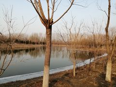 -东郊湿地公园