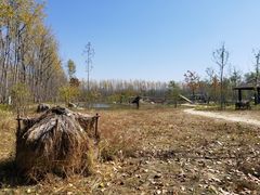 -合肥滨湖国家森林公园