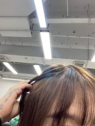 -蚂蚁造型俱乐部