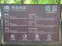 -都江堰中华大熊猫苑