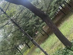 -森林公园(尖草坪区)