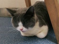 -宠颐生宠物医院外科·内科·皮肤科·影像科(石龙店)