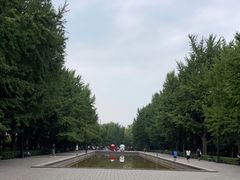 -玲珑塔公园