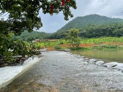 -广州市石门国家森林公园