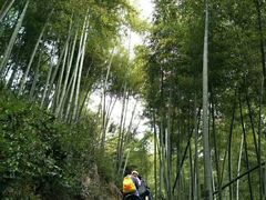 -径山寺