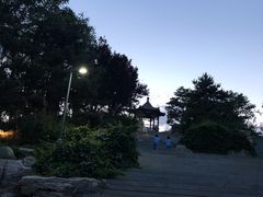 -大兴滨河森林公园