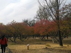 -灌饼王总店(炸烧饼五条胡同店)