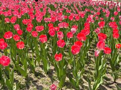 -长春公园(普阳街道)