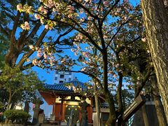 -浅草寺