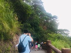 -羚羊峡古栈道森林公园