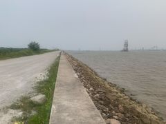 -大湾区中央湿地公园