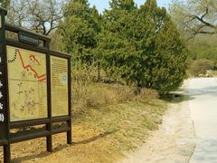 -北京西山国家森林公园