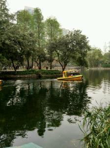 晓港公园-"晓港公园位于前进路(东门),西门位于江南."-大众点评移动版