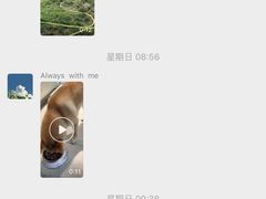 -趣玩宠物乐园寄养训犬训狗游泳池