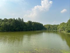 -东湖落雁景区