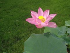 -南通洲际绿博园